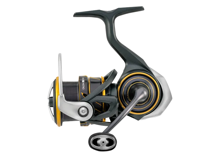 Daiwa 21 Caldia LT MQ