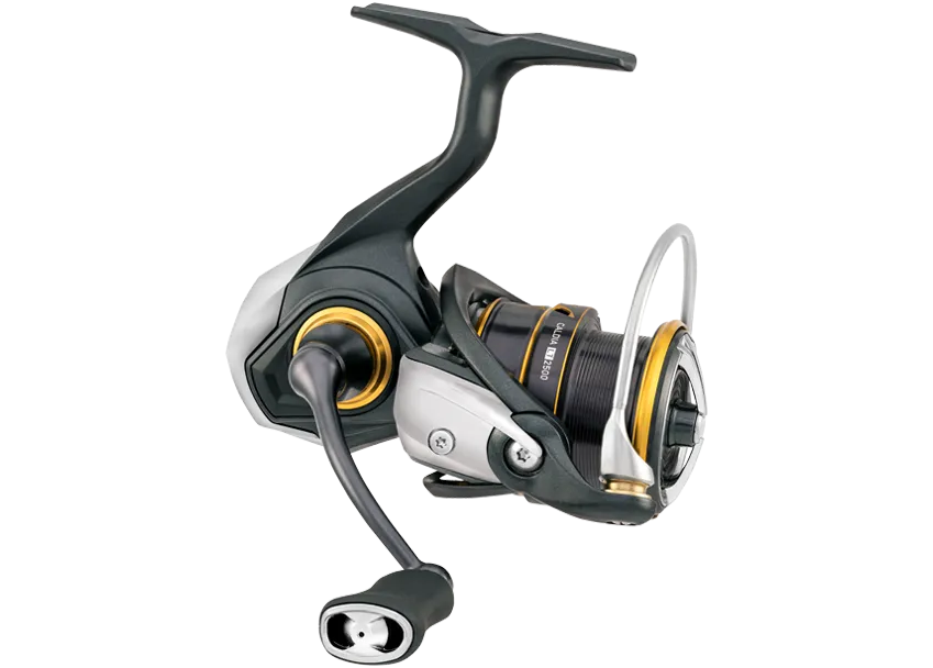 Daiwa 21 Caldia LT MQ