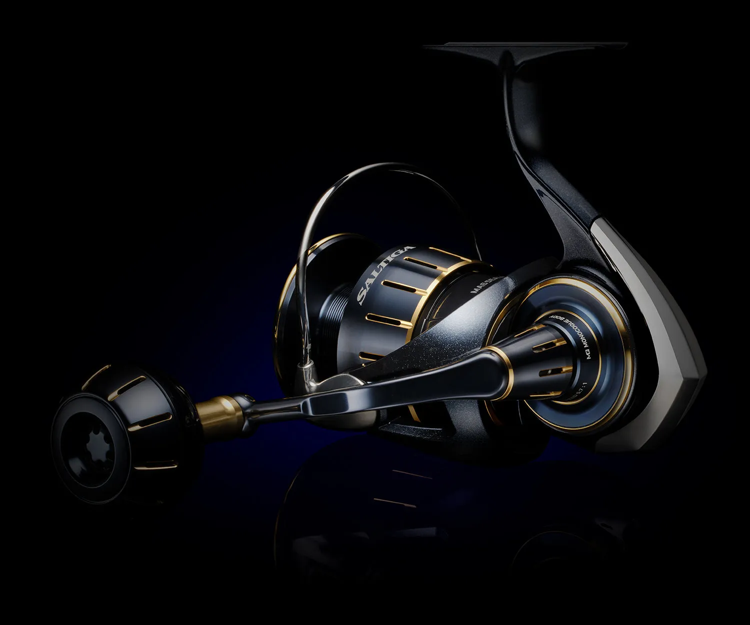 Daiwa 23 Saltiga