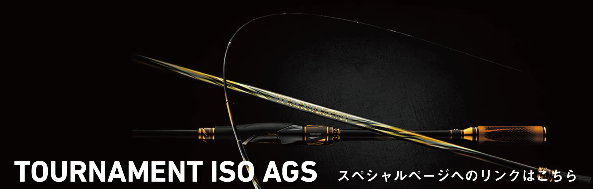 Daiwa 24 Tournament ISO AGS