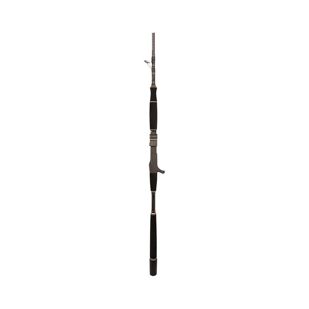 Penn Ocean Assassin Overhead Rod